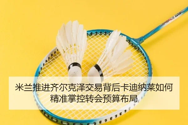 米兰推进齐尔克泽交易背后卡迪纳莱如何精准掌控转会预算布局